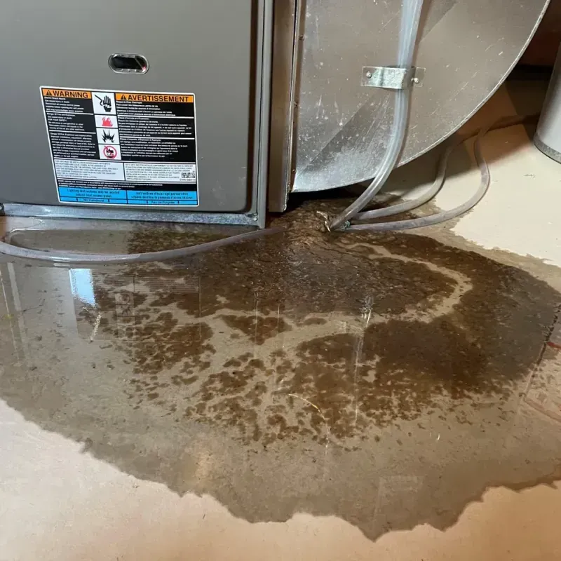 Appliance Leak Cleanup in Canyonville, OR